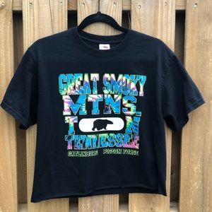 Vintage: Great Smokey MTNS Crop Top